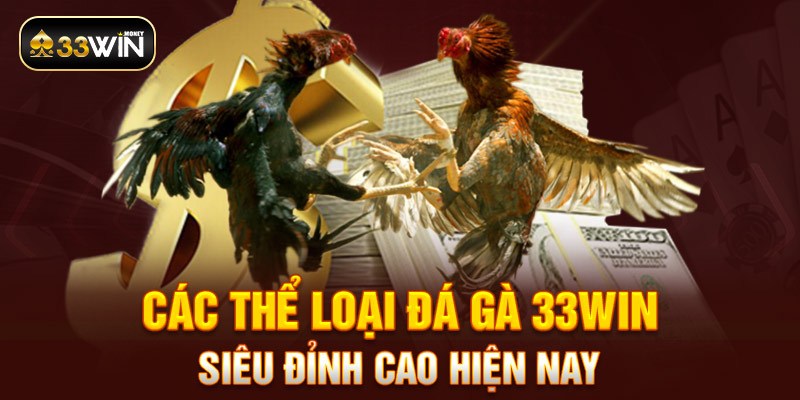 Các thể loại đá gà 33WIN siêu đỉnh cao hiện nay 