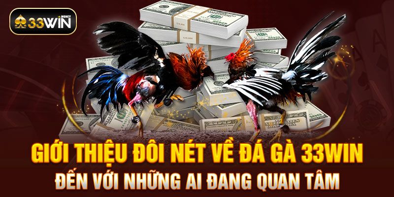 Giới thiệu đôi nét về đá gà 33WIN đến với những ai đang quan tâm