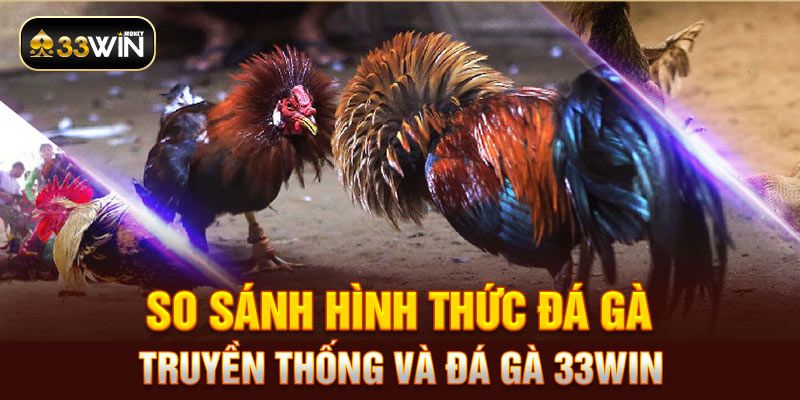 So sánh hình thức đá gà truyền thống và đá gà 33WIN 