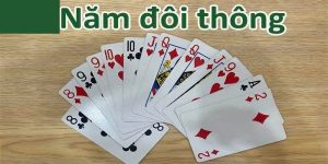 Tổng quan về 5 đôi thông