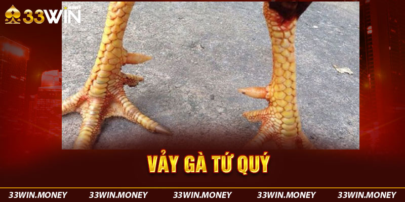 vảy gà tứ quý